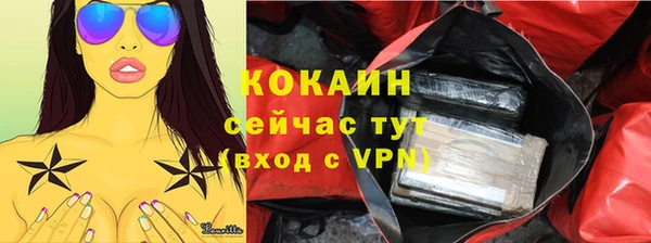 гашик Алзамай