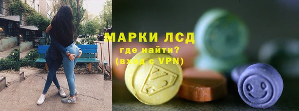 прущие грибы Алексеевка