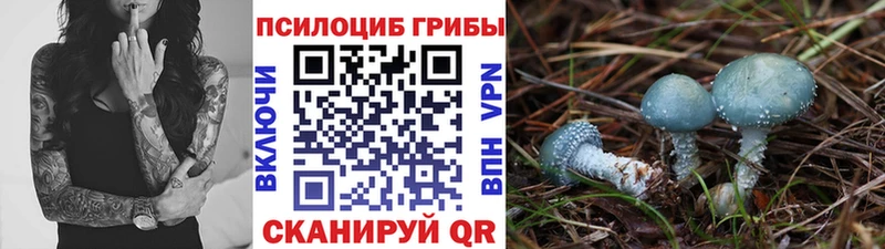 Псилоцибиновые грибы Psilocybine cubensis  кракен зеркало  Ковылкино 